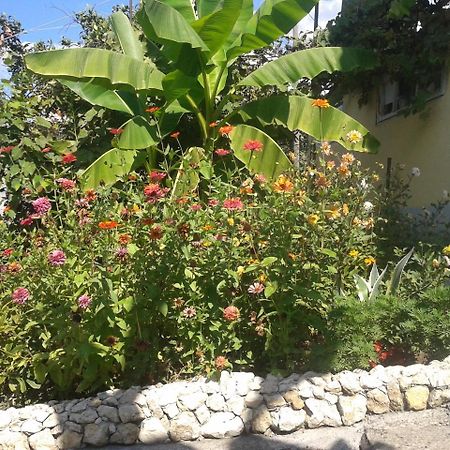 גגרה Guesthouse On Kabardinskaya 139A מראה חיצוני תמונה