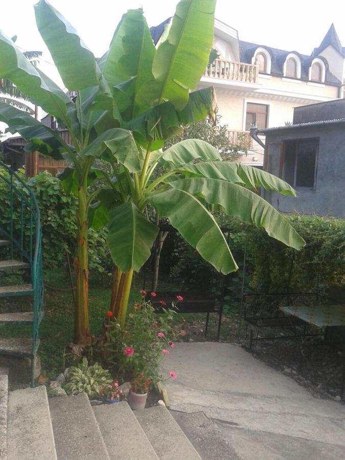 גגרה Guesthouse On Kabardinskaya 139A מראה חיצוני תמונה