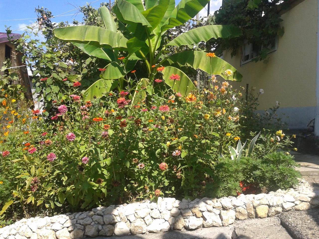 גגרה Guesthouse On Kabardinskaya 139A מראה חיצוני תמונה